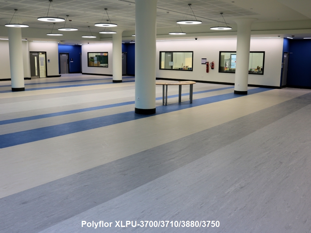 san vinyl khang khuan XLPU